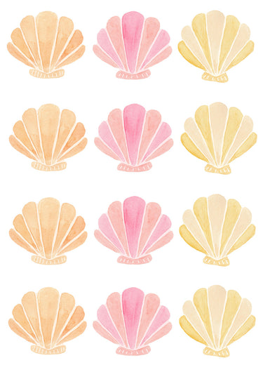 Shells Mixed - Half Set